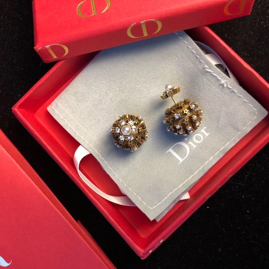 Christian Dior Earrings