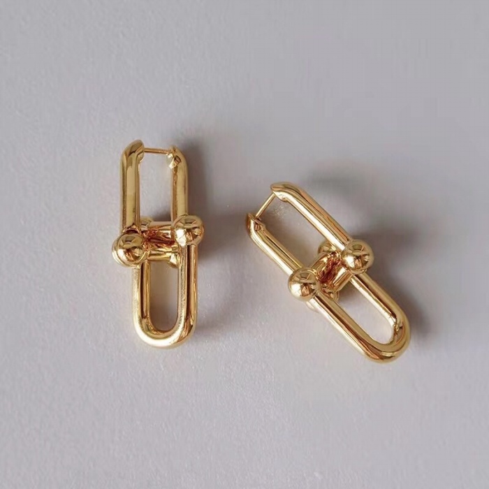 Tiffany & Co Tiffany Graduated Link Earrings Ear Studs 209