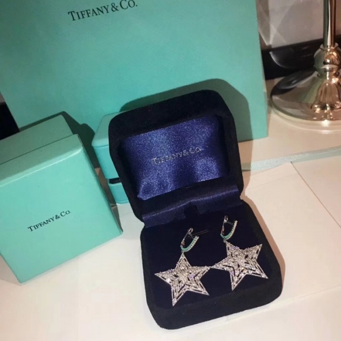 Tiffany & Co Tiffany Star Drop Earrings Ear Studs 2309