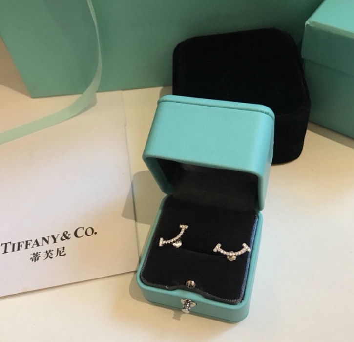 Tiffany & Co Tiffany T Smile Earrings Ear Studs 2306