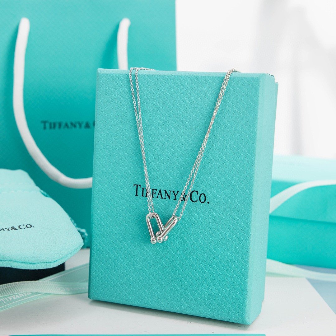 Tiffany and Co HardWear Double Link Pendant Necklace Sterling Silver 63104337