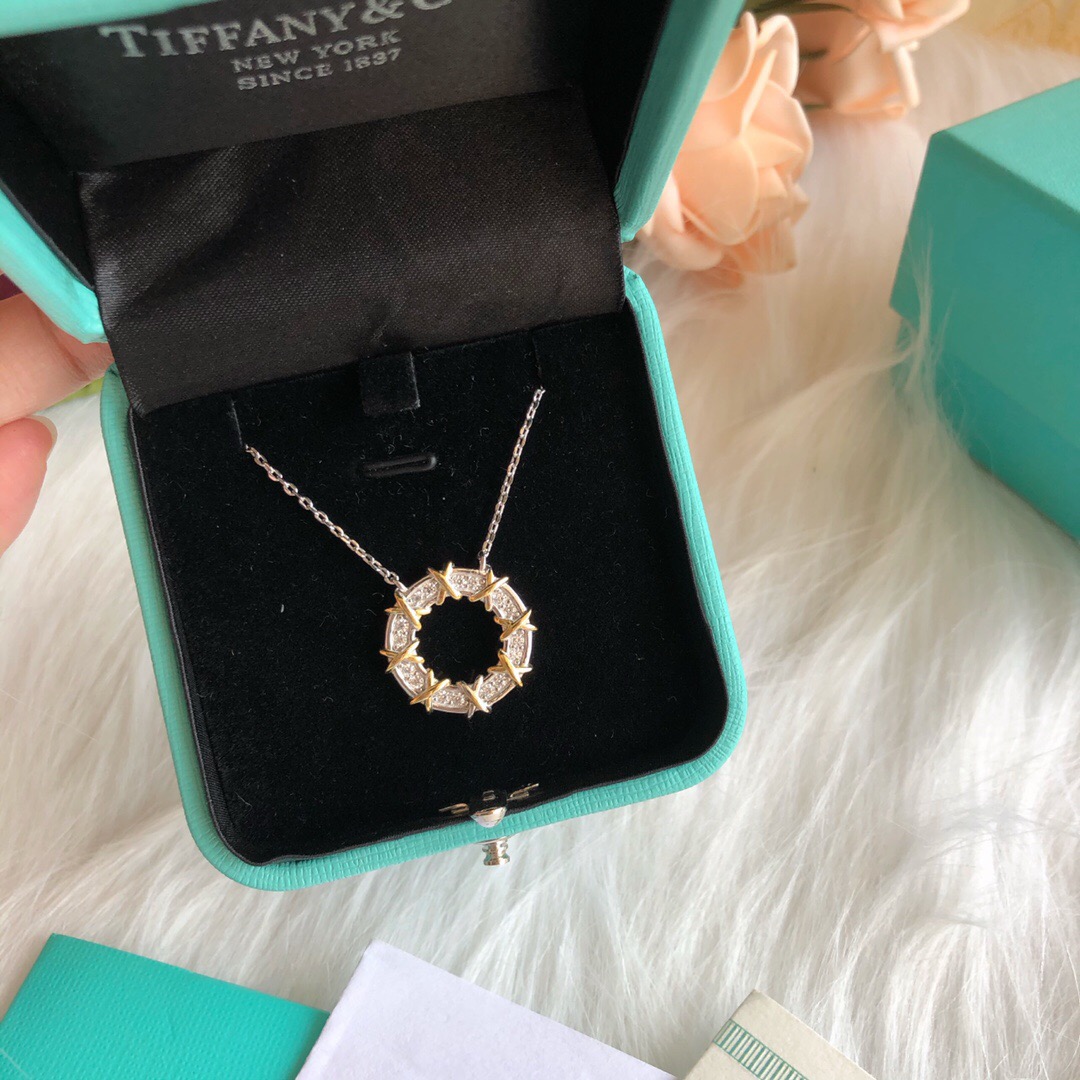 Tiffany and Co Necklace Pendant